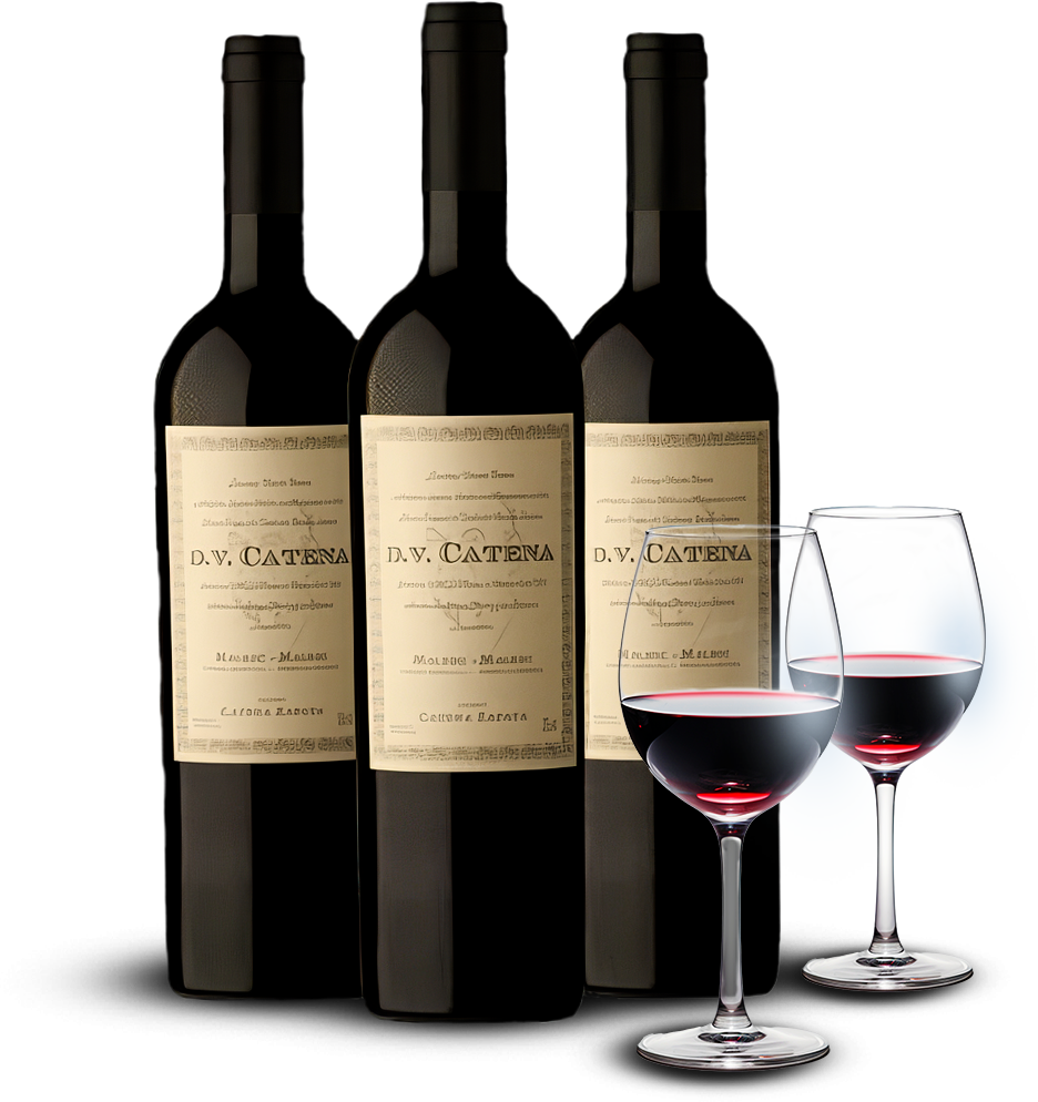 Kit 3 vinhos DV Catena + 2 Taças de cristal