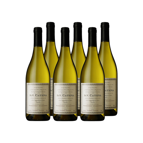 Kit Dv Catena Chardonnay Chardonnay Cx 6 und 2021